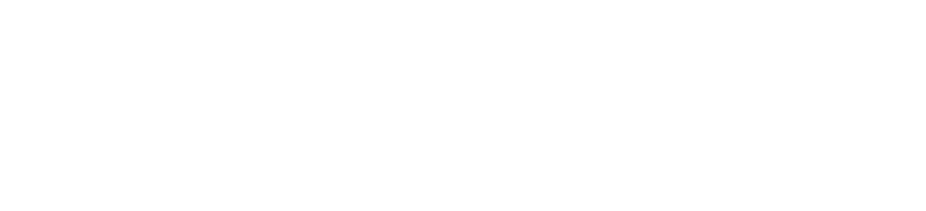 logo-donatoni-usa